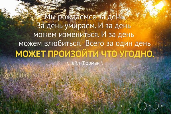 Высказывания о новом дне