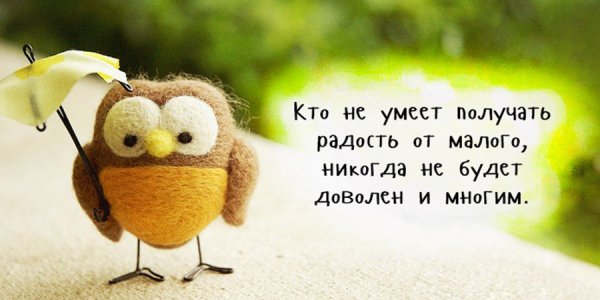 Высказывания о радости