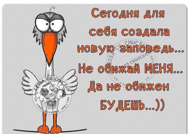 Высказывания на день