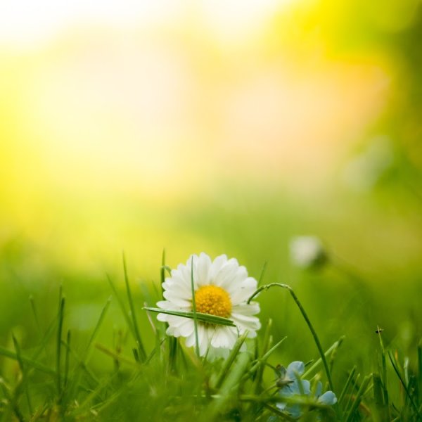 Цитаты про хороший день