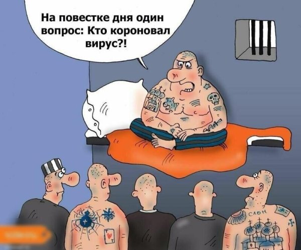 Юмор на злобу дня