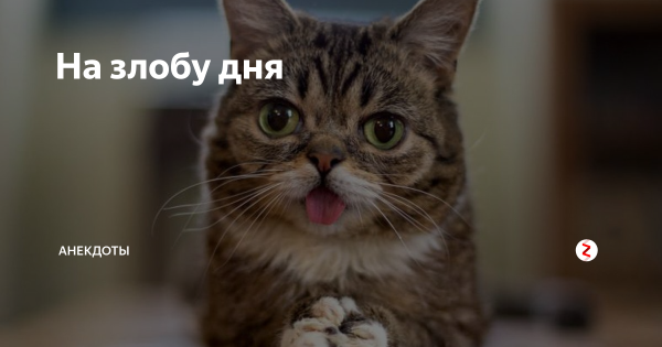 Смешные мемы на злобу дня