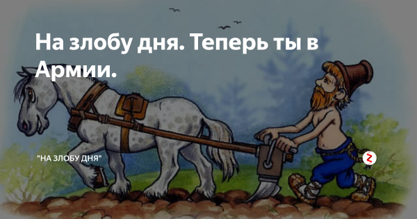 На злобу дня