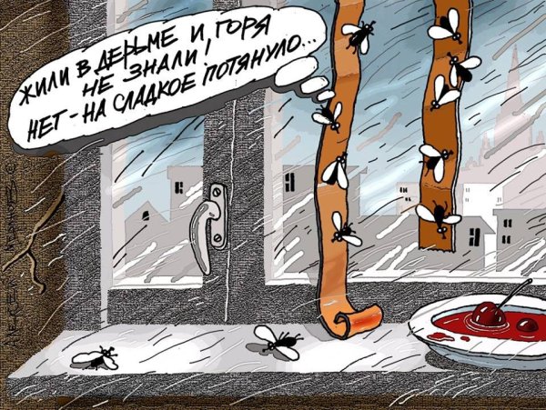 Злободневные карикатуры