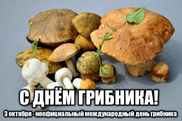 Всемирный день грибника