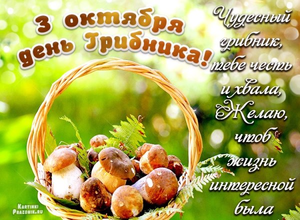 Всемирный день грибника открытки