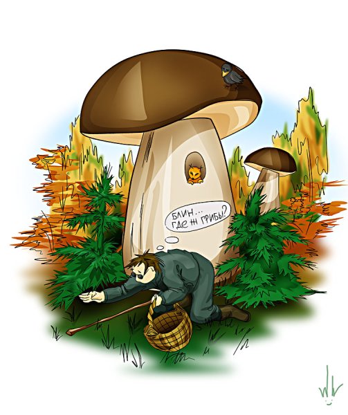 Грибной дождь