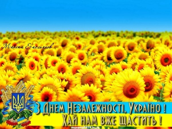 День независимости Украины поздравления