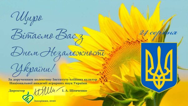 День независимости Украины