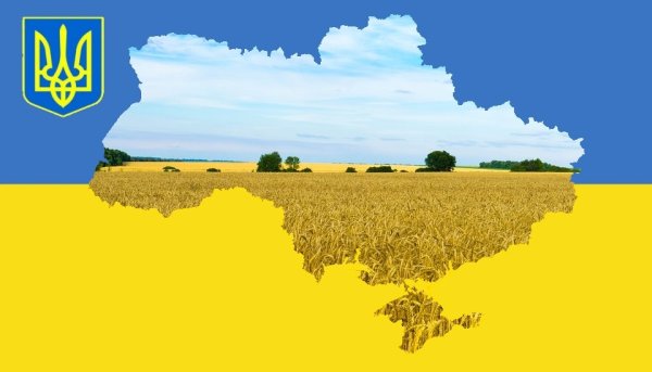 Плантации на Незалежности Украина