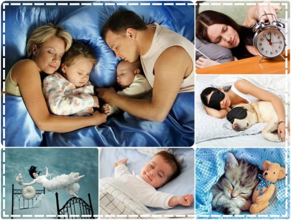 Всемирный день сна