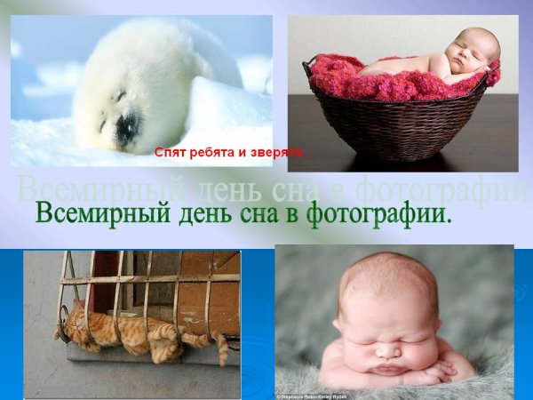 Всемирный день сна