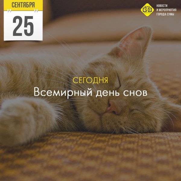 Всемирный день сновидений