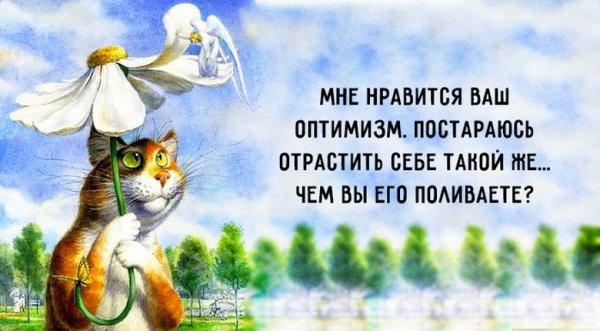 Оптимизм смешные высказывания