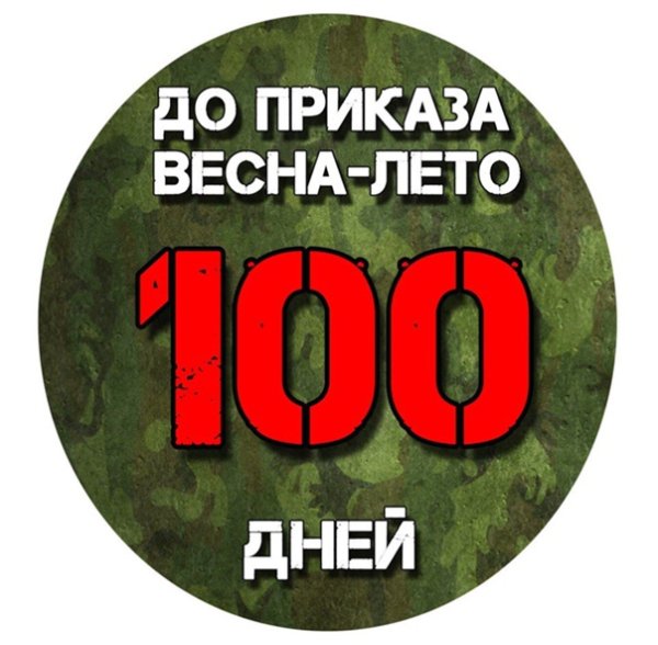 Поздравление 100 дней службы
