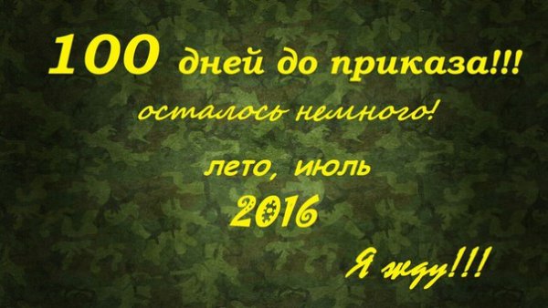 100 Дней до дембеля