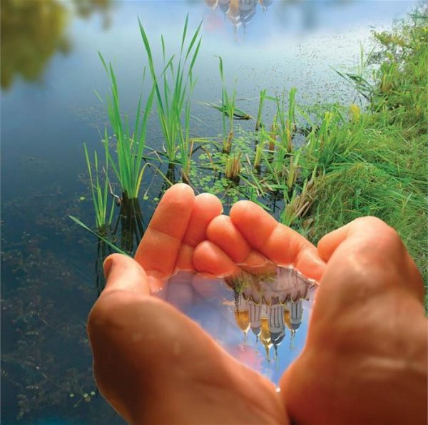 Природа на ладони