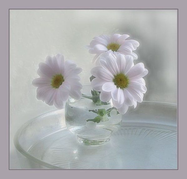 Красивые нежные пожелания