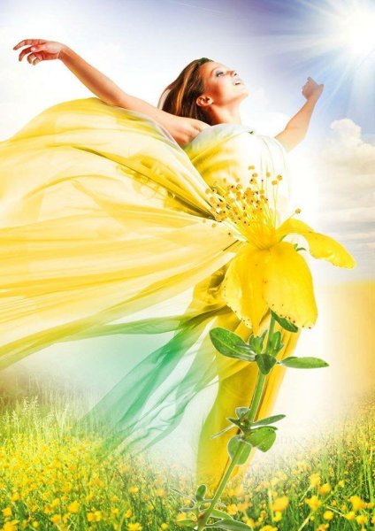 Утро солнце радость