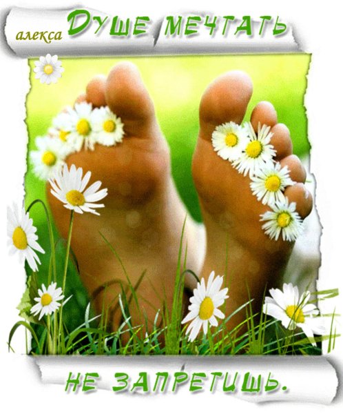 Доброе утро мечты сбываются