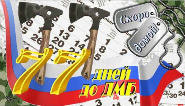 77 Дней до дембеля топорики