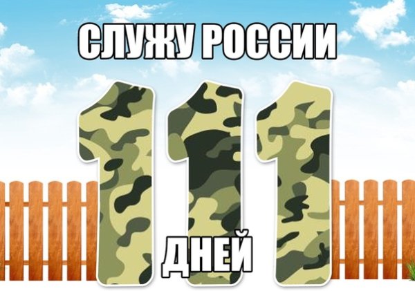 Маленький заборчик 111 дней службы