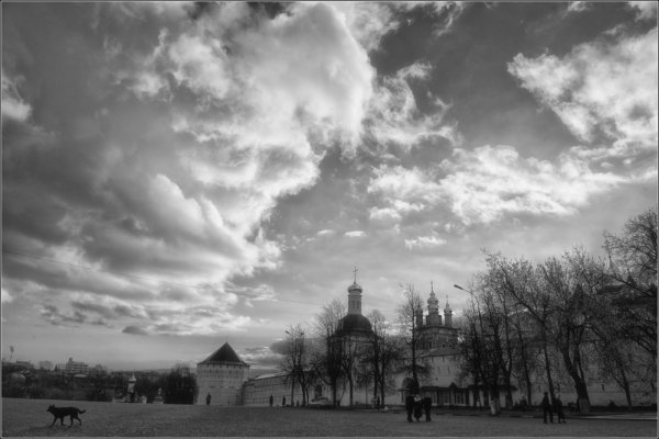 Пейзаж серый день