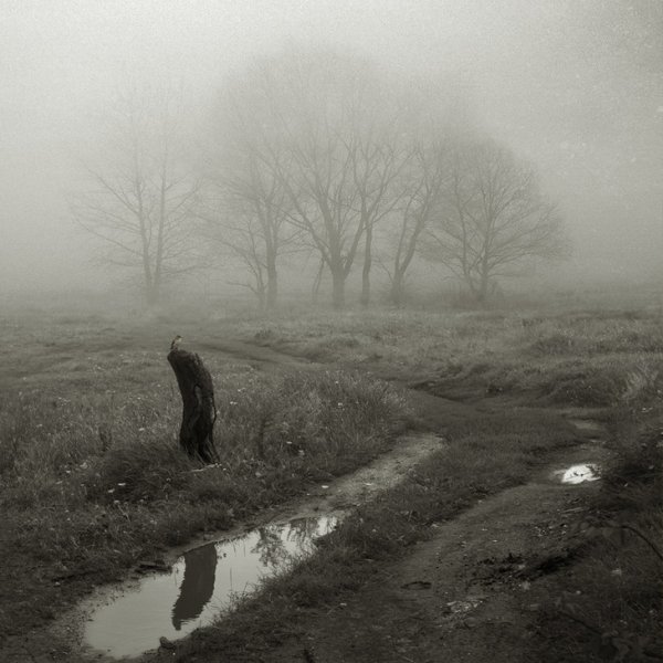 Мрачная дождливая осень