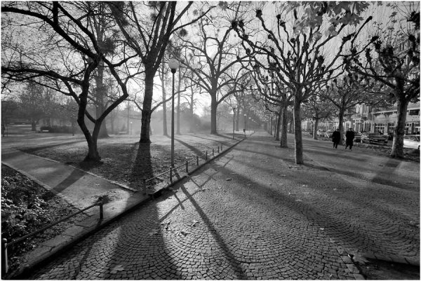 Серая осень город