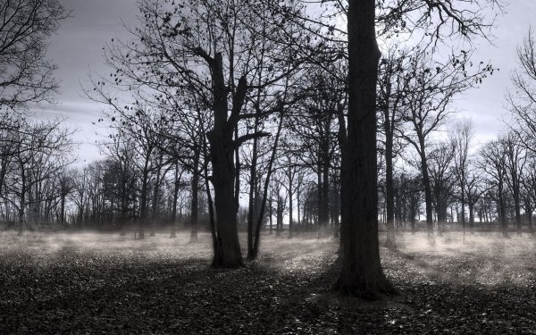 Осень серость