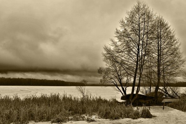 Дождь серость