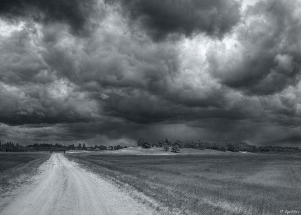 Проливной дождь