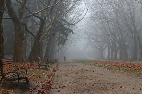 Серая осень город