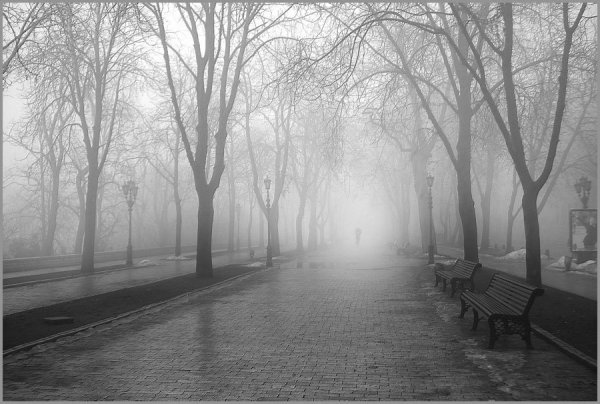 Зима в городе