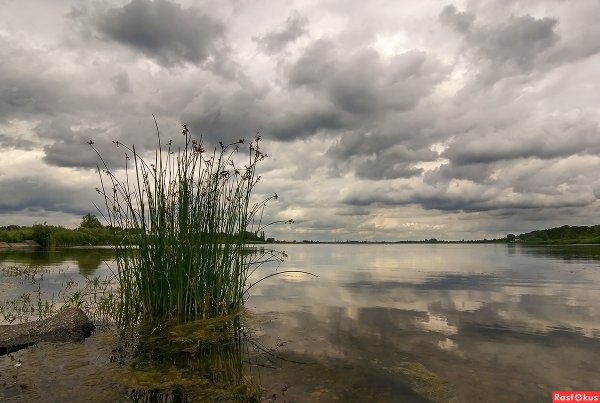 Серый день фото