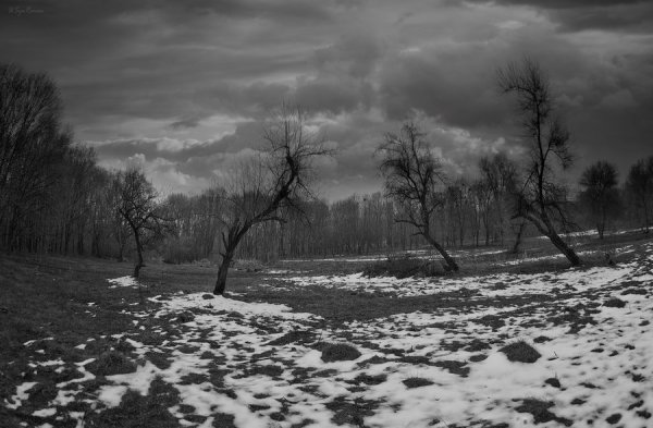 Пасмурная осень