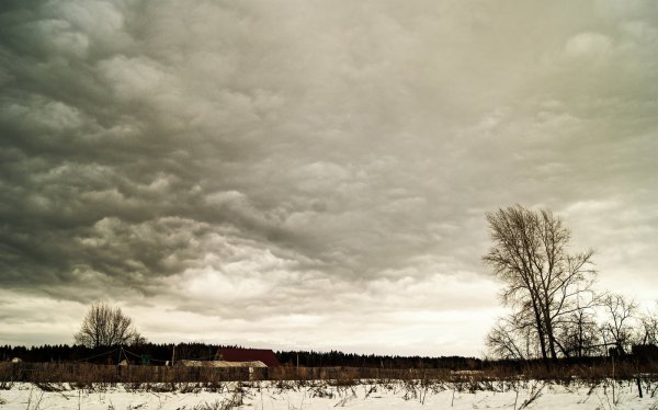 Пасмурная осень