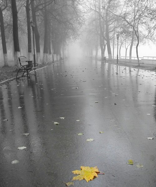 Серая осень
