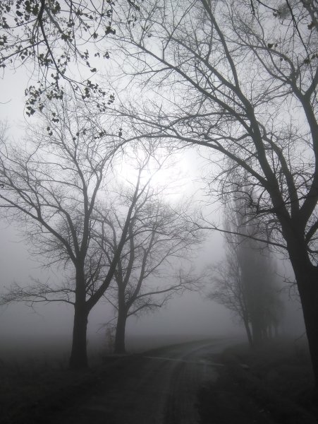 Дождливая осень