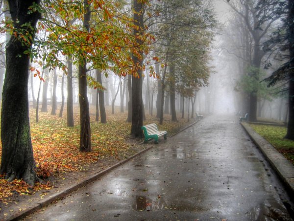 Пасмурная природа