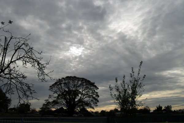 Серый день фото