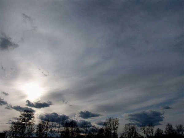 Пасмурная природа