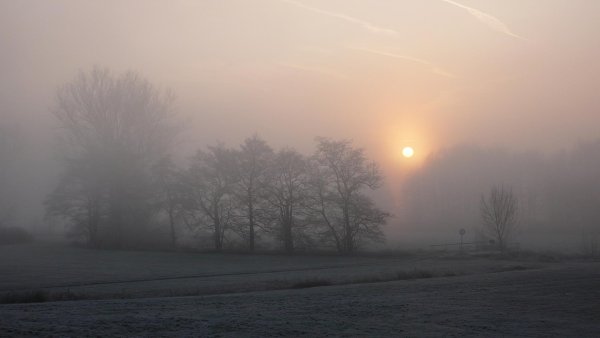 Осень серость