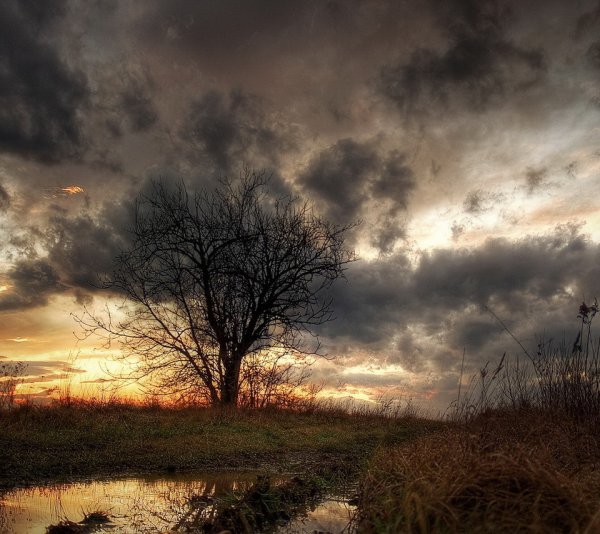 Пасмурная осень