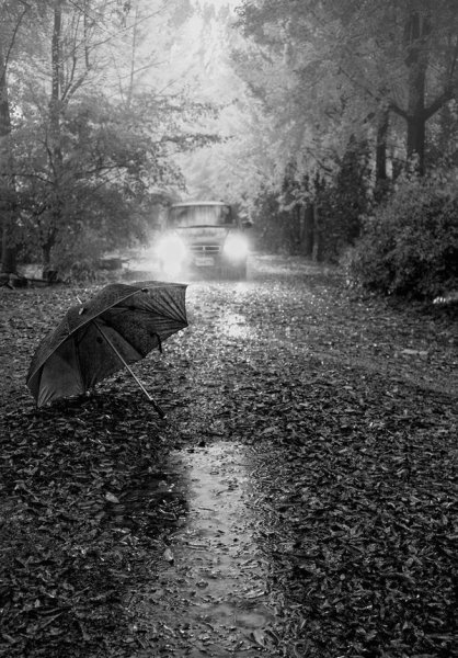 Пейзаж серый день