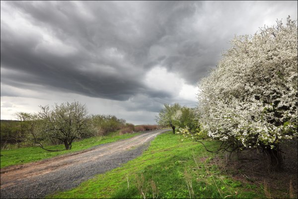 Пасмурная поздняя осень