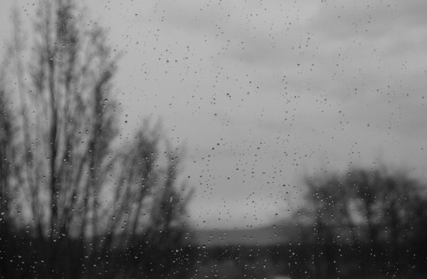 Туман в степи