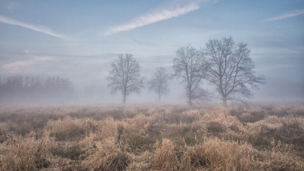 Осень туман