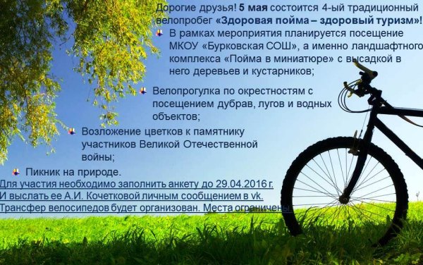 Смешные Мотивирующие фразы