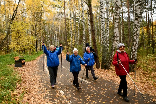 Скандинавская ходьба студенты